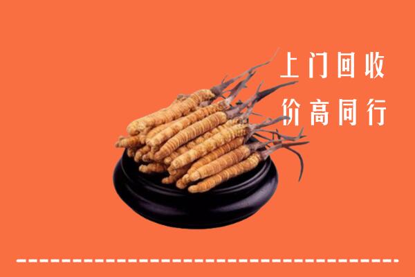 收购行情：三亚市冬虫夏草回收多少钱每克